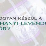 Hogyan készül a Tihanyi levendulás sör?