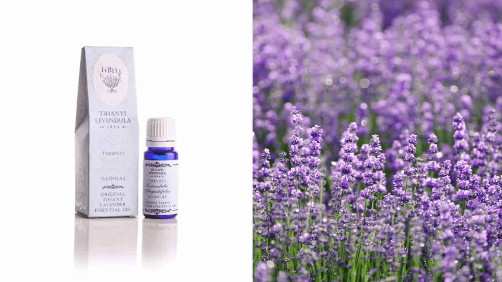 Tihanyi levendula